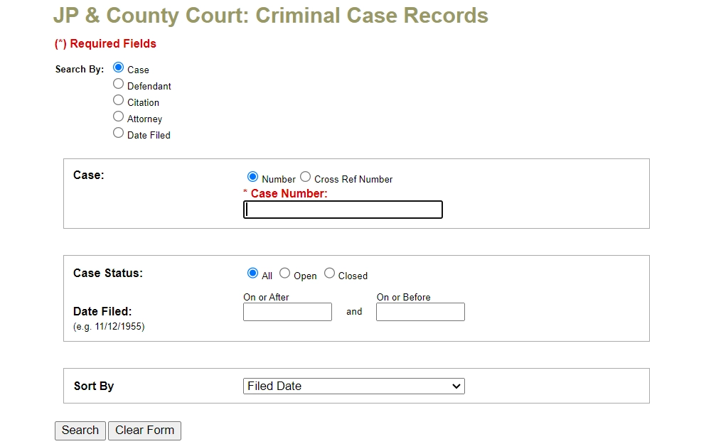 Screenshot of the JP & County Court criminal case records search tool showing the option to browse by case, with the case number as a required field.