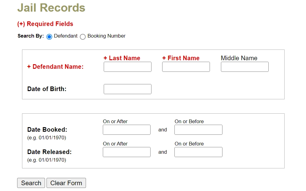 Screenshot of the jail records search tool of Denton County, Texas showing required fields to fill such as the defendant's first and last name, and other optional fields for refinement.